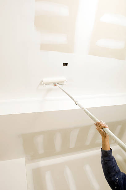 Best Mold Remediation for Healthcare Facilities  in Santa Ana Pueblo, NM