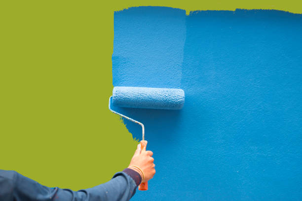 Best Environmental Consulting for Mold Prevention  in Santa Ana Pueblo, NM