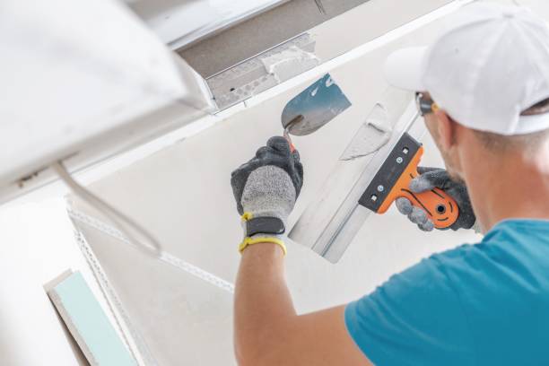 Best Emergency Mold Remediation  in Santa Ana Pueblo, NM